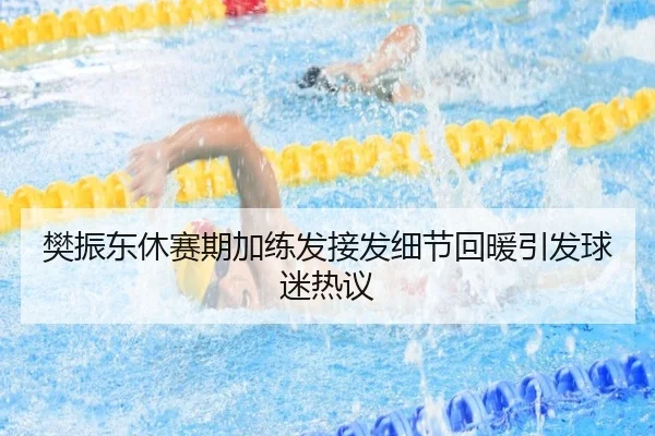 樊振东休赛期加练发接发细节回暖引发球迷热议